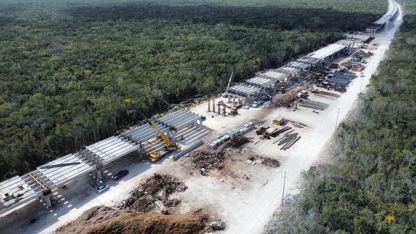 Tramo 5 del Tren Maya ‘devora’ la selva: Deforesta 6.5 millones de metros cuadrados