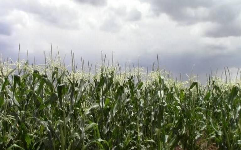 Pronostican escasas posibilidades de lluvia para Chihuahua este 2024