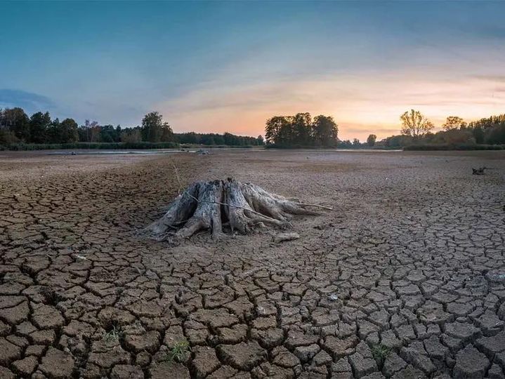 Sequía se extiende a casi 80% del país; hay 10 estados con 100% de municipios afectados