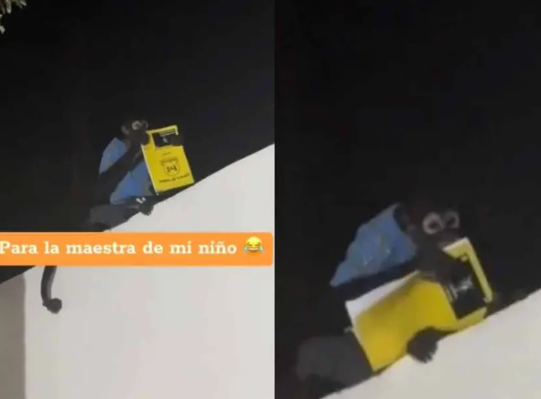 Changuito se roba la tarea de un niño ¿Le creerá la maestra?