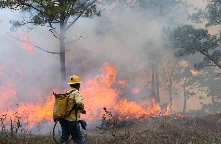 Reporta 72 incendios forestales en medio de una fuerte onda de calor en México