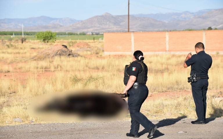 Confirman que eran “polleros” los sinaloenses asesinados en carretera a Juárez