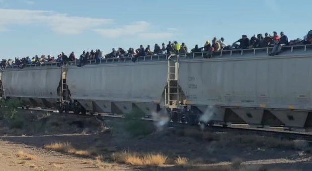 Captaron a cientos de migrantes a bordo del tren en La Cruz
