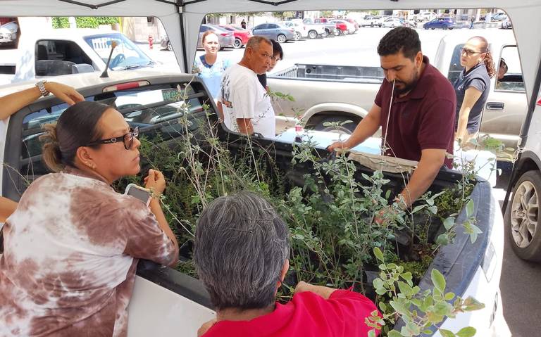 Emprenden en Delicias campaña de reforestación