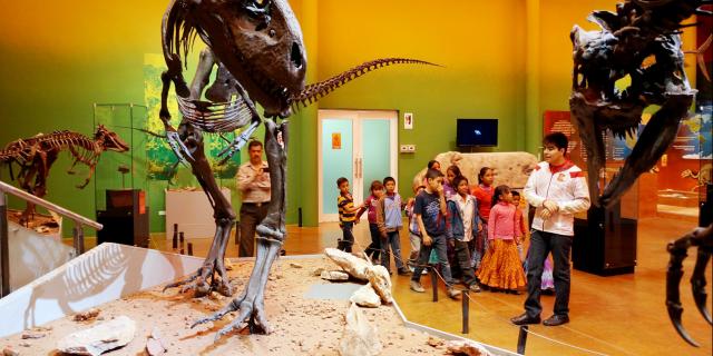 Invitan a actividades por el Día Internacional de los Museos en el MUDECh