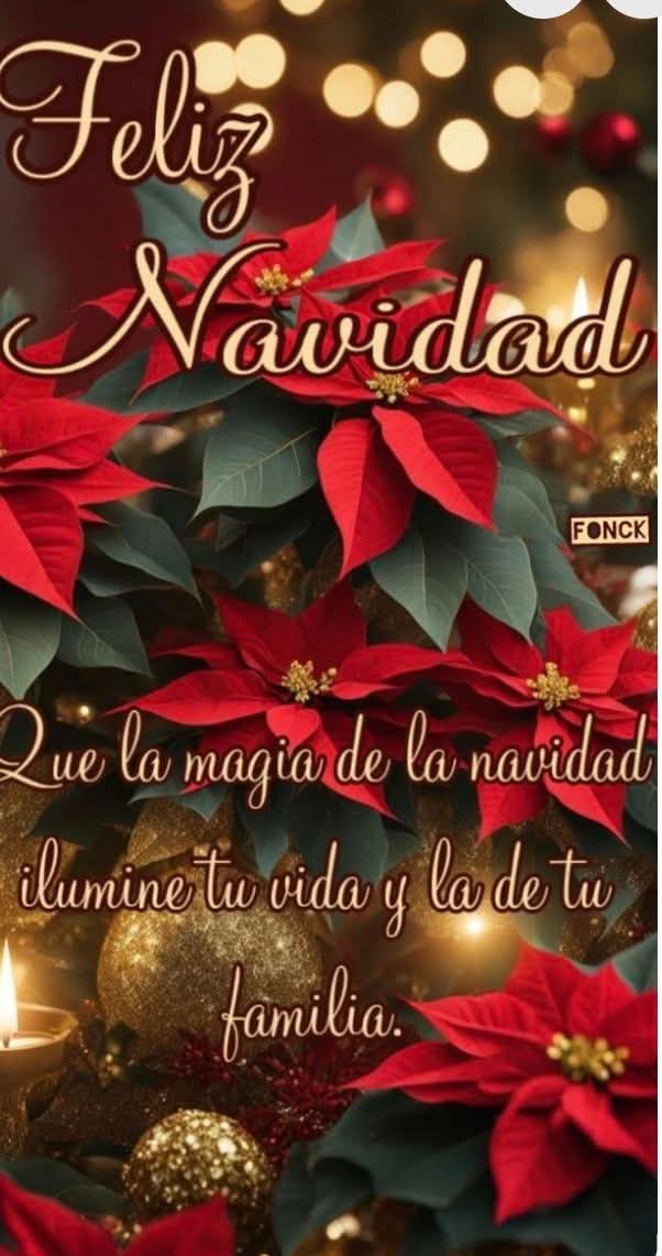 Feliz Navidad y Próspero Año 2025
