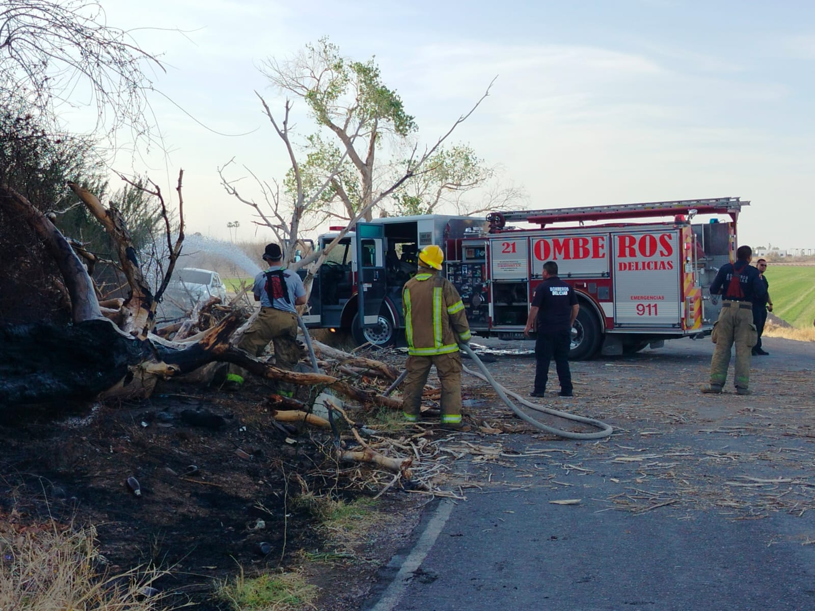 Incendio y caída de árbol moviliza a Bomberos al oriente de Delicias