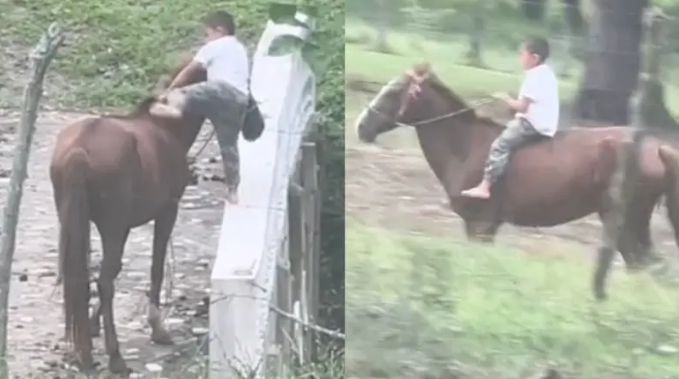 Niño sorprende por habilidad de montar a caballo; se viraliza en TikTok