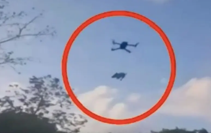 Indignación en las redes: Cuelgan a perrito de dron y lo elevan en Quintana Roo
