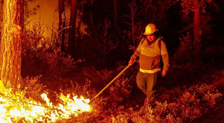 Combaten más de mil 300 brigadistas incendios forestales en el Estado