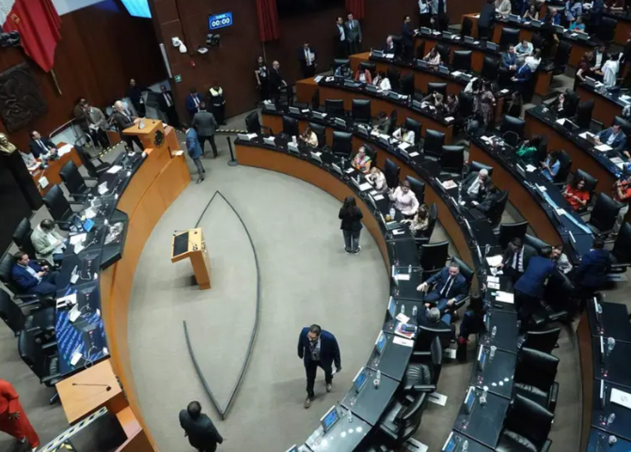 Avala Senado permitir que funcionarios de CFE, Pemex y SAT porten armas