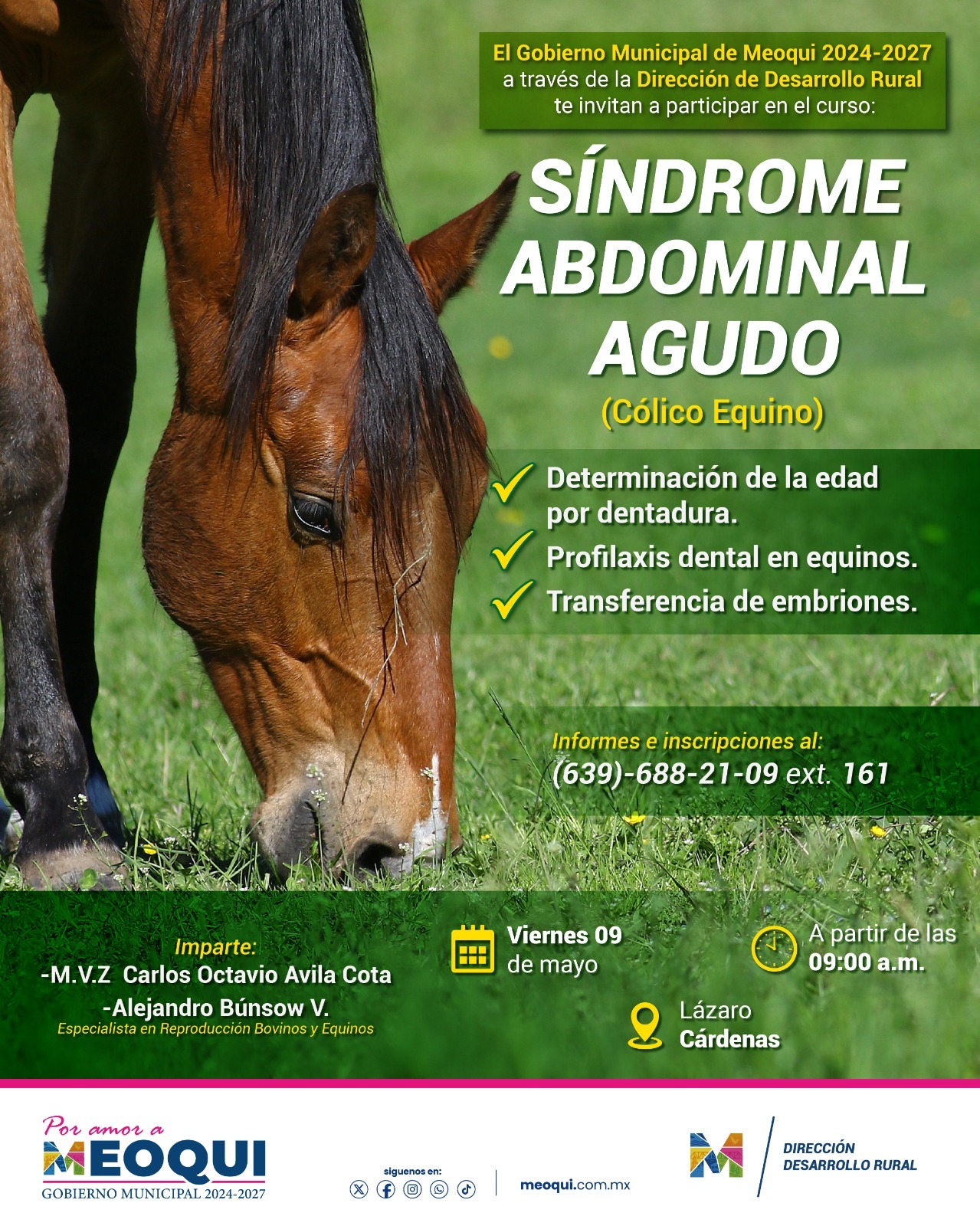 Invitan este viernes en Meoqui a plática sobre salud equina