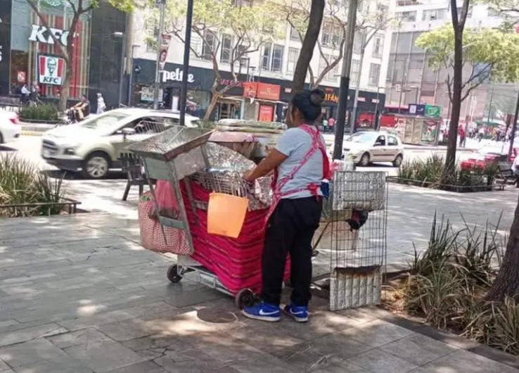Exponen en redes a vendedora de elotes en la Alameda los hierve con agua no apta para consumir