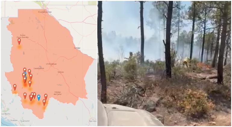 Casi 19 mil hectáreas bajo fuego: así incendios forestales del estado
