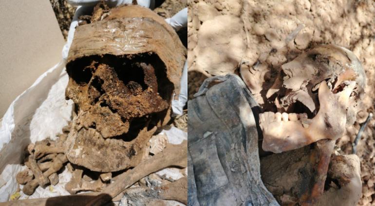 Madres buscadoras de Sonora encontraron seis osamentas