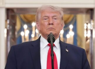 Donald Trump: primero viene la narrativa Donald Trump y la presión política contra México en columna El Grillero