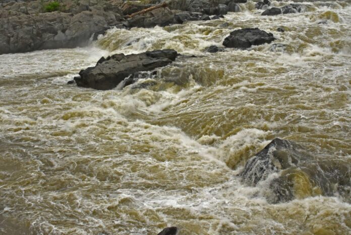 Mueren cinco personas al intentar rescatar a nadador en río de Ohio